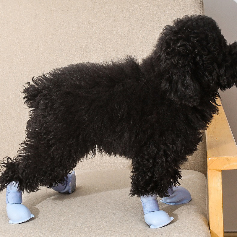 All Seasons Pet WaterProof Rai - Shoe Polish Cream บทวิจารณ์และราคา