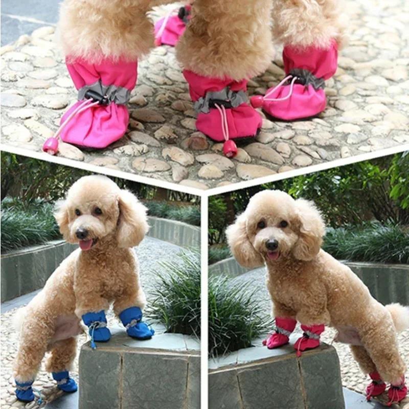 New 4pcs Waterproof Pet Dog Sh - Shoe Polish Cream บทวิจารณ์และราคา